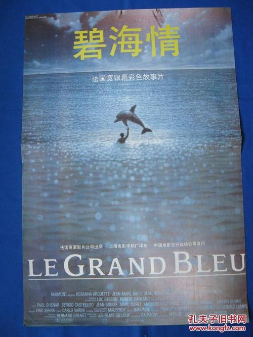 做个假突尼斯